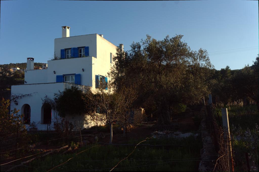 Aiolos Σκάλα Εξωτερικό φωτογραφία